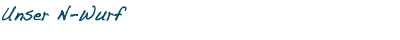 Briards vom Hexenhof - Unser N-Wurf