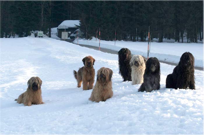 Letzte (hoffentlich) Schneespaziergänge