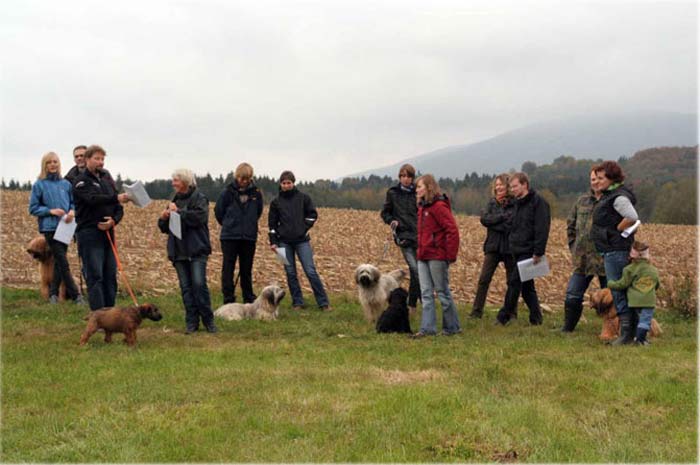 Treffen unseres Briard N-Wurfes und Gos B-Wurfes