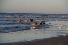 Baden im Dezember