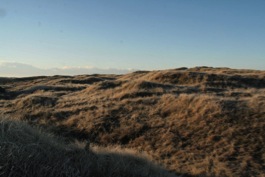 Blick aus unserem Ferienhaus