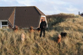 der Nachmittagsspaziergang 