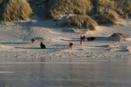 Eisrennen