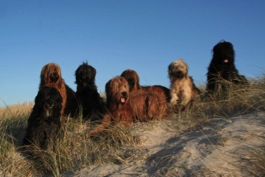 mal wieder Fotoshooting