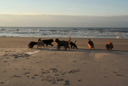 Strandspiele