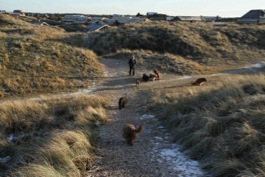 Strandwege