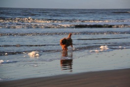 Tanzen in der Nordsee
