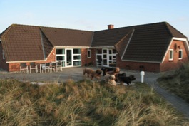 'unser' Ferienhaus in den Dünen