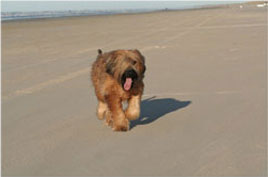Mara am Strand