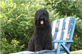Grand Dame Hexe im Sommer 2009