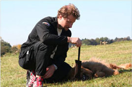Hallo Hexenhund