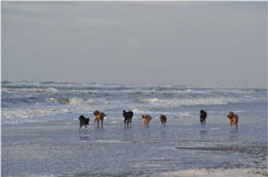 7 Wasserratten im Dezember unterwegs