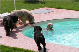 Spaß am Pool