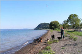 Am Bolsenasee