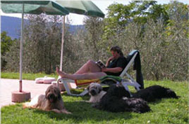 Toskana Sommer 2007