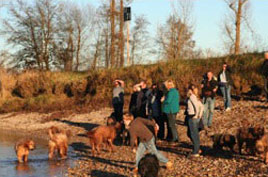 Baden im November