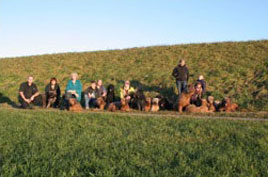 Gos C Wurf und P Wurf Briard