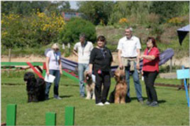 Leihhund Onawa bie Alli und Micha
