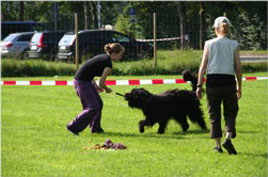 Ole bei der Juhu