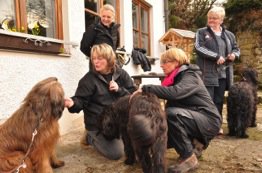 Andrea bei der Fellpflege