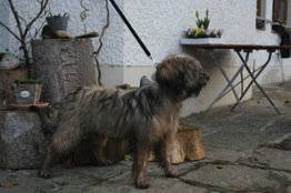Ella Stand