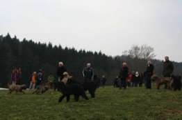 Menschen & Hunde haben Spass