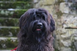 Ruben