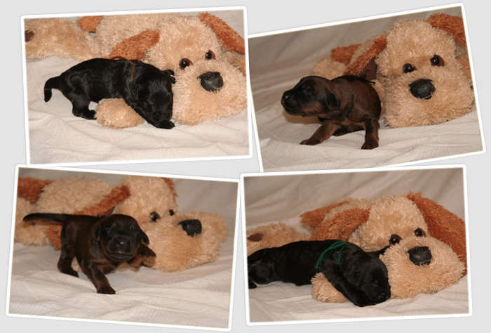 Morgaine und ihr 12er Team (16 Bilder!)