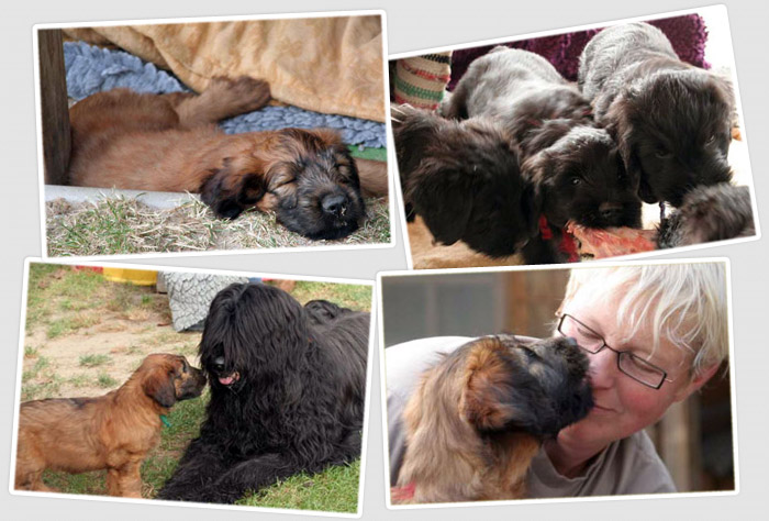 Die achte Woche (40 Bilder!)
