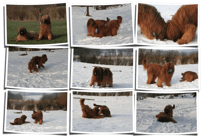 Larimar und Poupon Romani bei ihrem 'Date' (Elf Bilder)