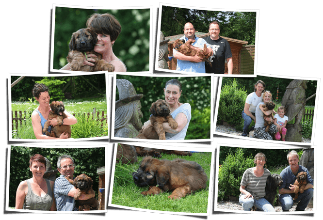 Und sie sind weg ... (8 Bilder)